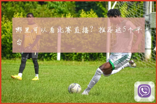 哪里可以看比赛直播？推荐这5个平台
