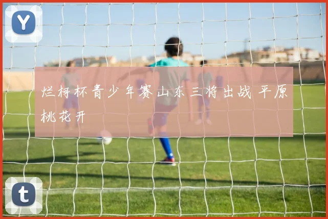 烂柯杯青少年赛山东三将出战 平原桃花开