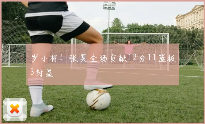 岁小将！张昊全场贡献12分11篮板3封盖