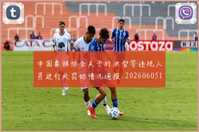 中国象棋协会关于对洪智等违规人员进行处罚的情况通报_20260605104239
