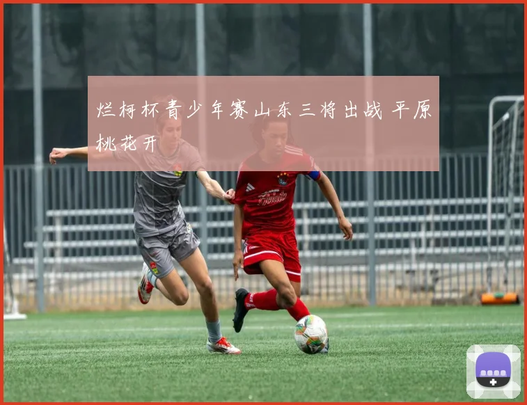 烂柯杯青少年赛山东三将出战 平原桃花开