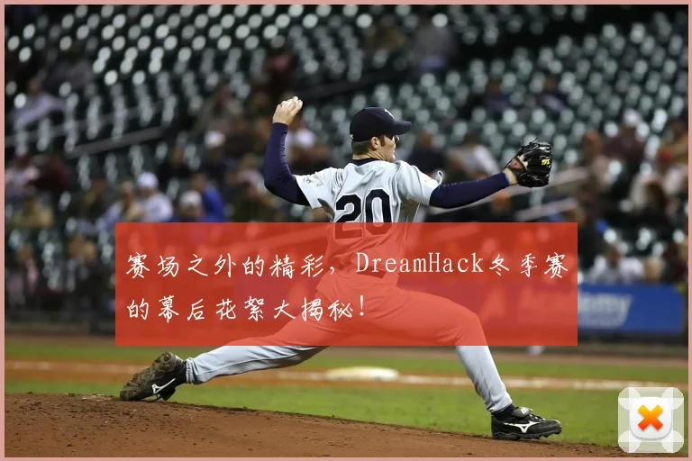 赛场之外的精彩，DreamHack冬季赛的幕后花絮大揭秘！